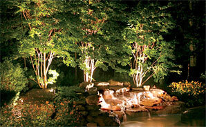 Landscape & Outdoor Lighting